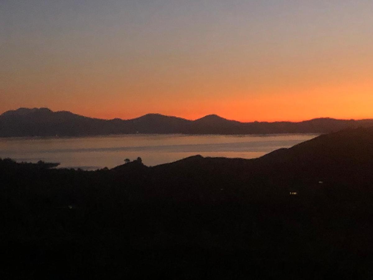 Whakaipo Bay Cabin Retreat Taupo Eksteriør billede