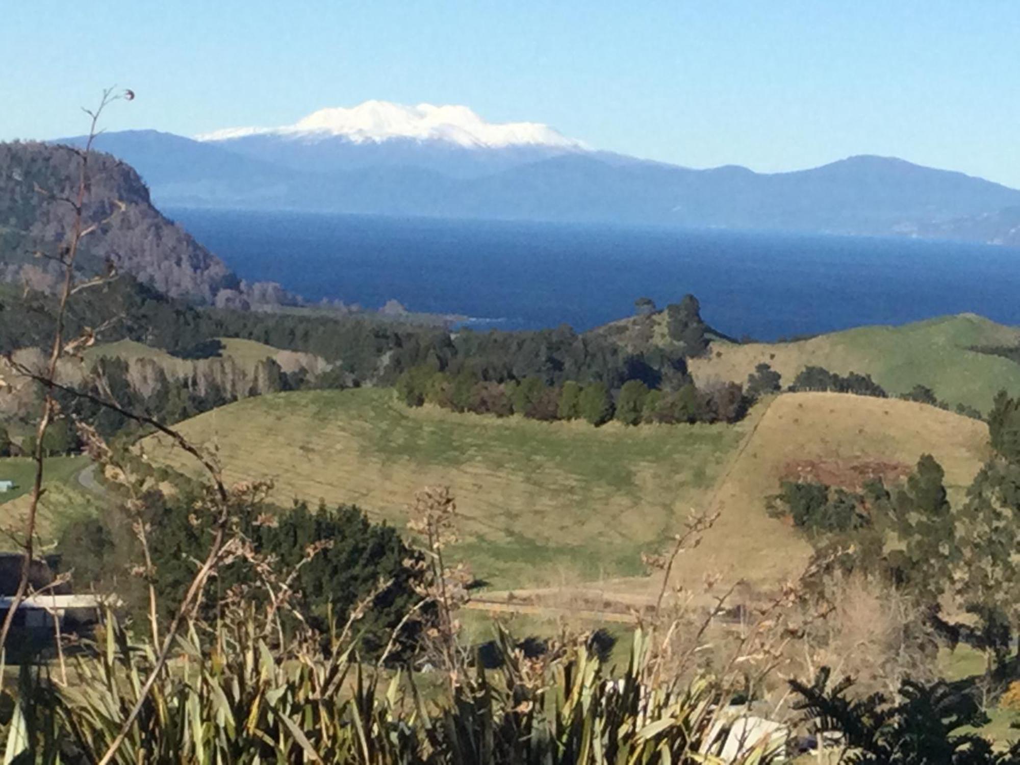 Whakaipo Bay Cabin Retreat Taupo Eksteriør billede