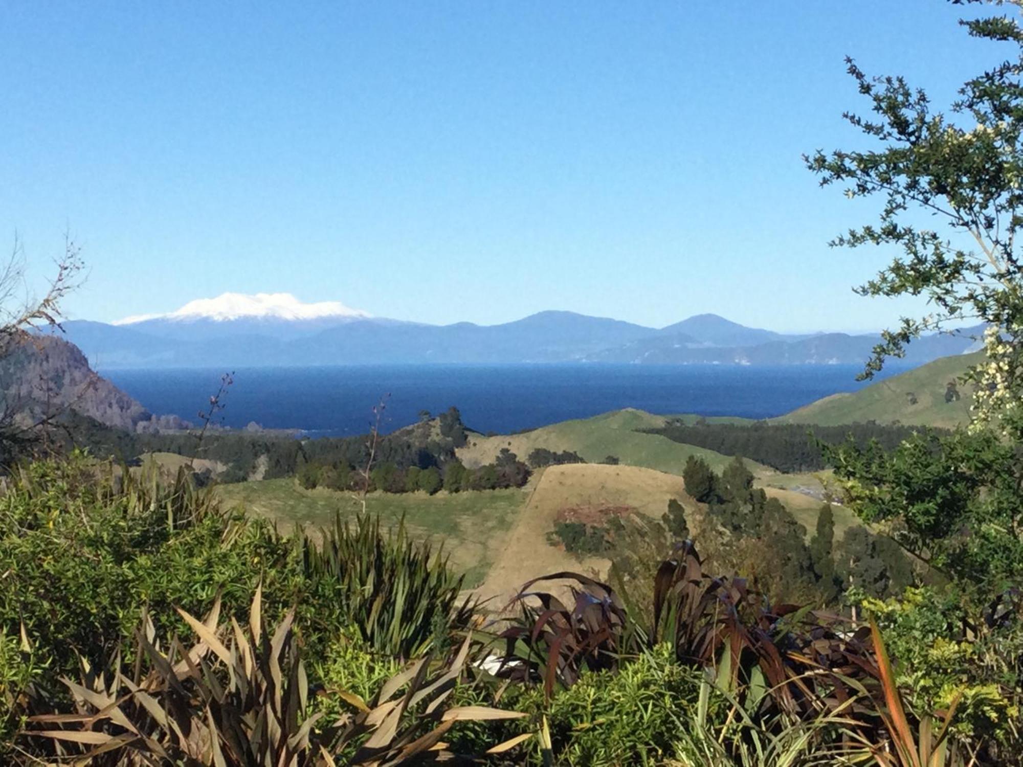 Whakaipo Bay Cabin Retreat Taupo Eksteriør billede